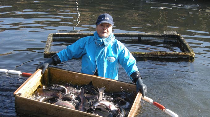 常識を覆す魚がここに