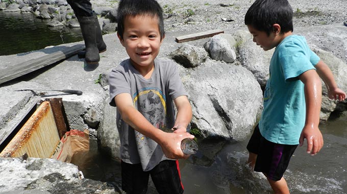 常識を覆す魚がここに